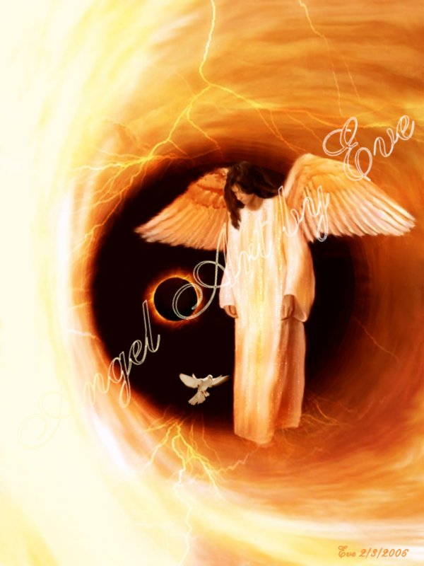 angel pic