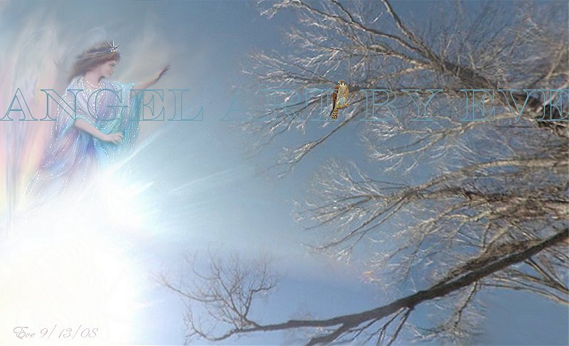 angel pic