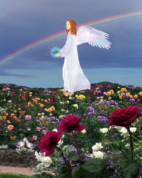 angel pic