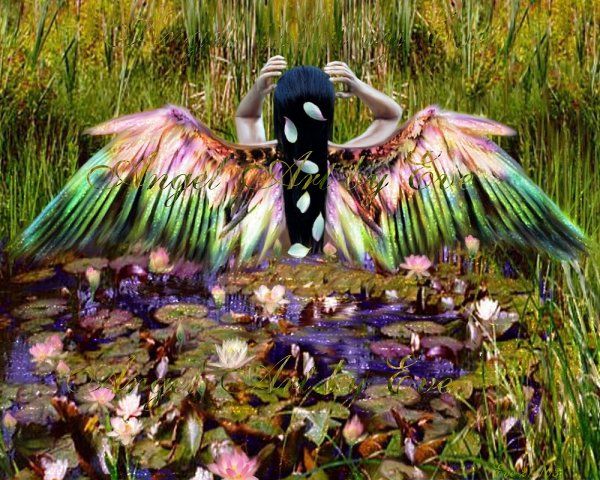angel pic