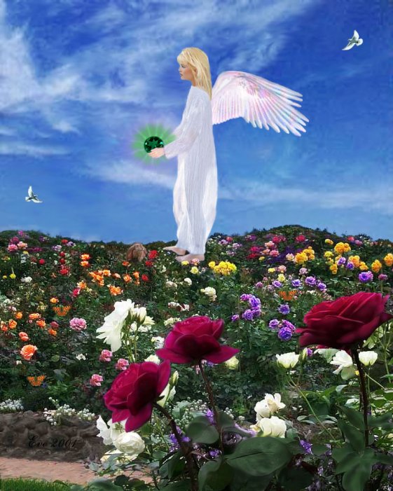 angel pic